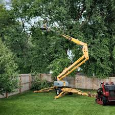 Lawn Drainage Solutions in Smoke Rise, AL