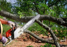 Lawn Watering Services in Smoke Rise, AL