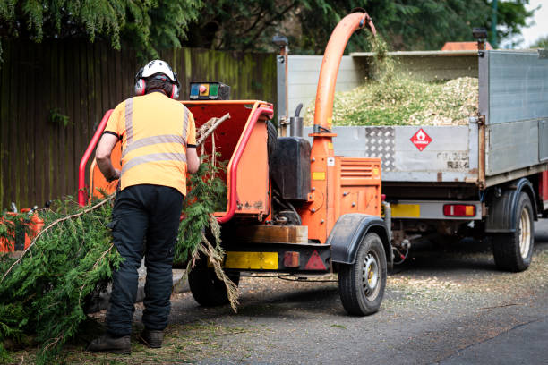 Best Emergency Tree Removal  in Smoke Rise, AL