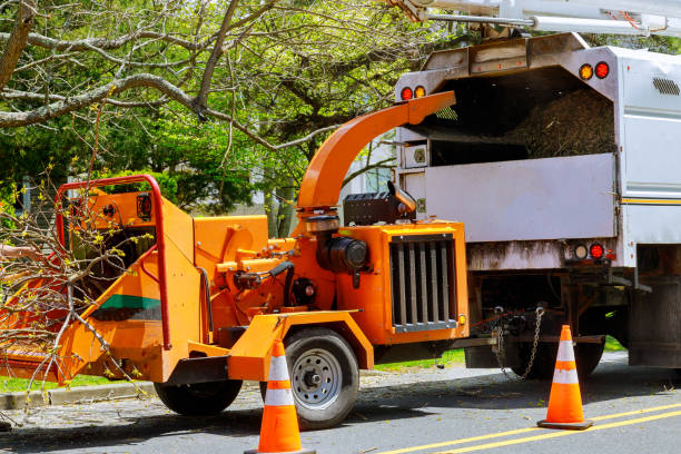 Best Tree Preservation Services  in Smoke Rise, AL